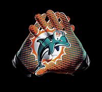Image result for McDonnell Miami Dolphins
