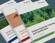 Image result for Training Book Cover Design