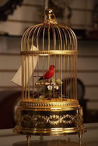 Image result for Automaton Bird Cage