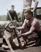 Image result for WW2 Funny Soldier