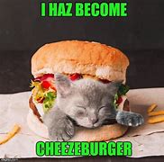 Image result for Has Cheezburger Cat