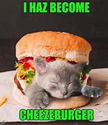 Image result for I Has Cheezburger Fat Cat