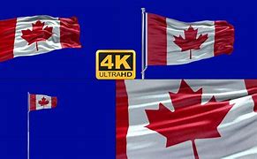 Image result for Canada Flag Greenscreen Transition