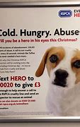 Image result for Slogan for Dog Charity