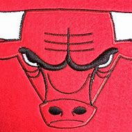 Image result for Chicago Bulls Heritage Banner