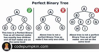 Image result for Prefix Binary Tree