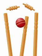 Image result for A Wicket for Cricket