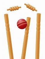 Image result for Wicket and Ball Icon