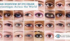 Image result for Rarest Eye Color Chart