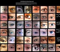 Image result for Human Eye Color Chart with Names