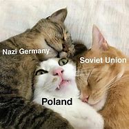 Image result for WW2 Cat Memes