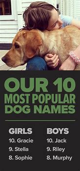 Image result for Most Popular Dog Names