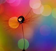 Image result for Wallpapers Most Beautiful Simple