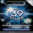 Image result for The 39 Clues Series