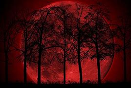Image result for Dark Forest Moon Wallpaper