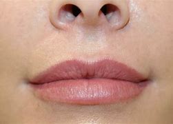 Image result for Lip Liner Permanent Makeup