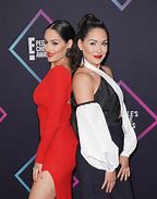 Image result for Nikki Bella and Brie Bella