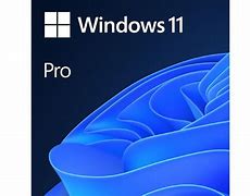 Image result for Windows 11 Pro Cost New