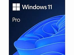 Image result for Windows 11 Pro DVD