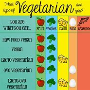 Image result for Vegetarian versus Vegan