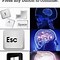 Image result for Earth Brain Memes