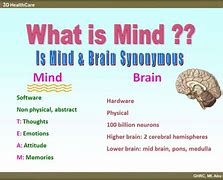 Image result for Btween the Brain and Mind