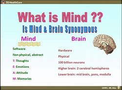 Image result for What Is the Difference Between a Brain and Mind