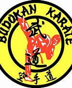 Image result for Action Karate Whitehall PA