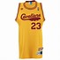 Image result for LeBron James Jersey