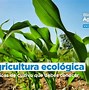 Image result for agriciltura