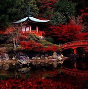 Image result for japanese gardens