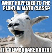 Image result for Math Logic Meme