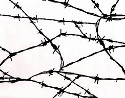 Image result for Barbed Wire Aesthetic