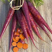 Image result for Labeled Carrot