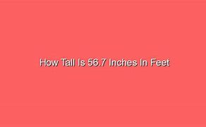 Image result for What Is 6 Inches in Feet
