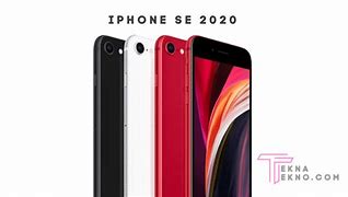 Image result for iPhone SE 2020 Dimensions