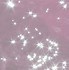 Image result for Pink Animated Background GIF