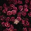 Image result for Dark Floral iPhone Wallpaper