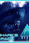 Image result for BAPE Jackets Sharks Head