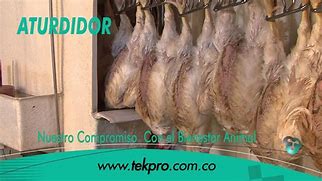 Image result for atuzador