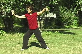 Image result for Yang Style Tai Chi
