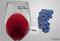 Image result for Pinot Noir Wine Color
