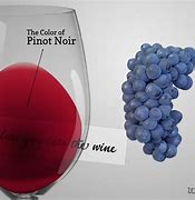 Image result for Pinot Noir Wine Folly