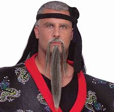 Image result for Kung Fu Beard