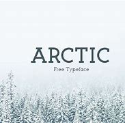 Image result for Arctic Font