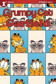 Image result for Grumpy Cat Garfield