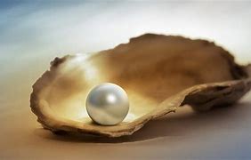 Image result for World's Largest Pearl