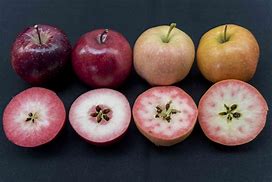 Image result for Rustolium Red Apple