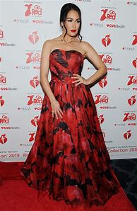 Image result for Brie Bella Red Outfits