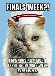 Image result for Nursing Memes Pens